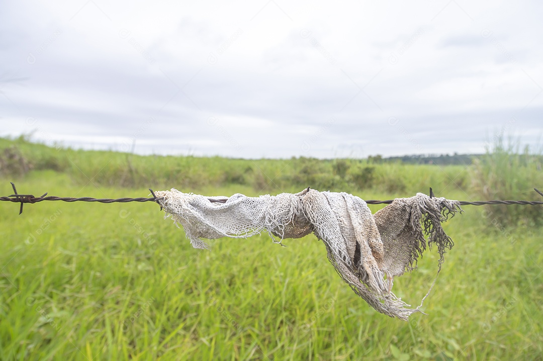 Pano velho preso em uma cerca com vegetação ao fundo em um dia nublado, conceito de poluição da natureza.
