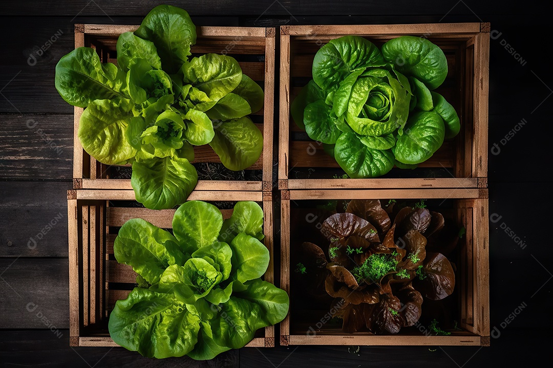 Vista superior de alfaces em formato de gaiola de madeira