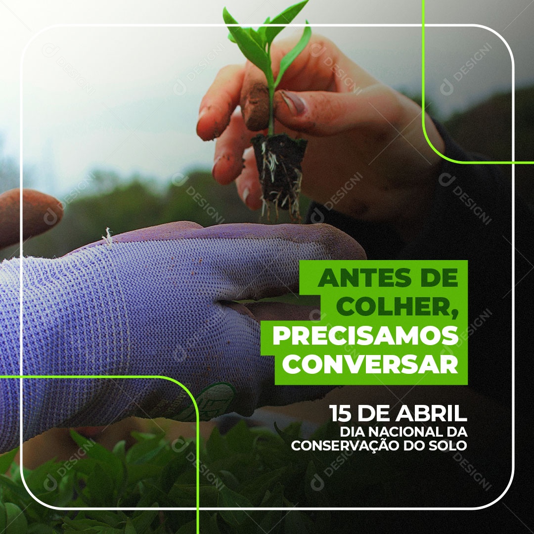 Antes de Colher Precisamos Conversar 15 de Abril Dia Nacional da Conservação do Solo Social Media PSD Editável