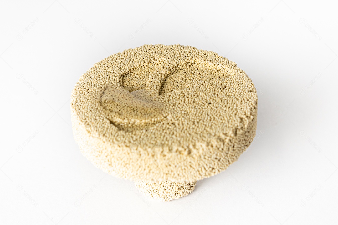 Base em cerâmica porosa para fixação de corais, muito utilizada em aquários marinhos.