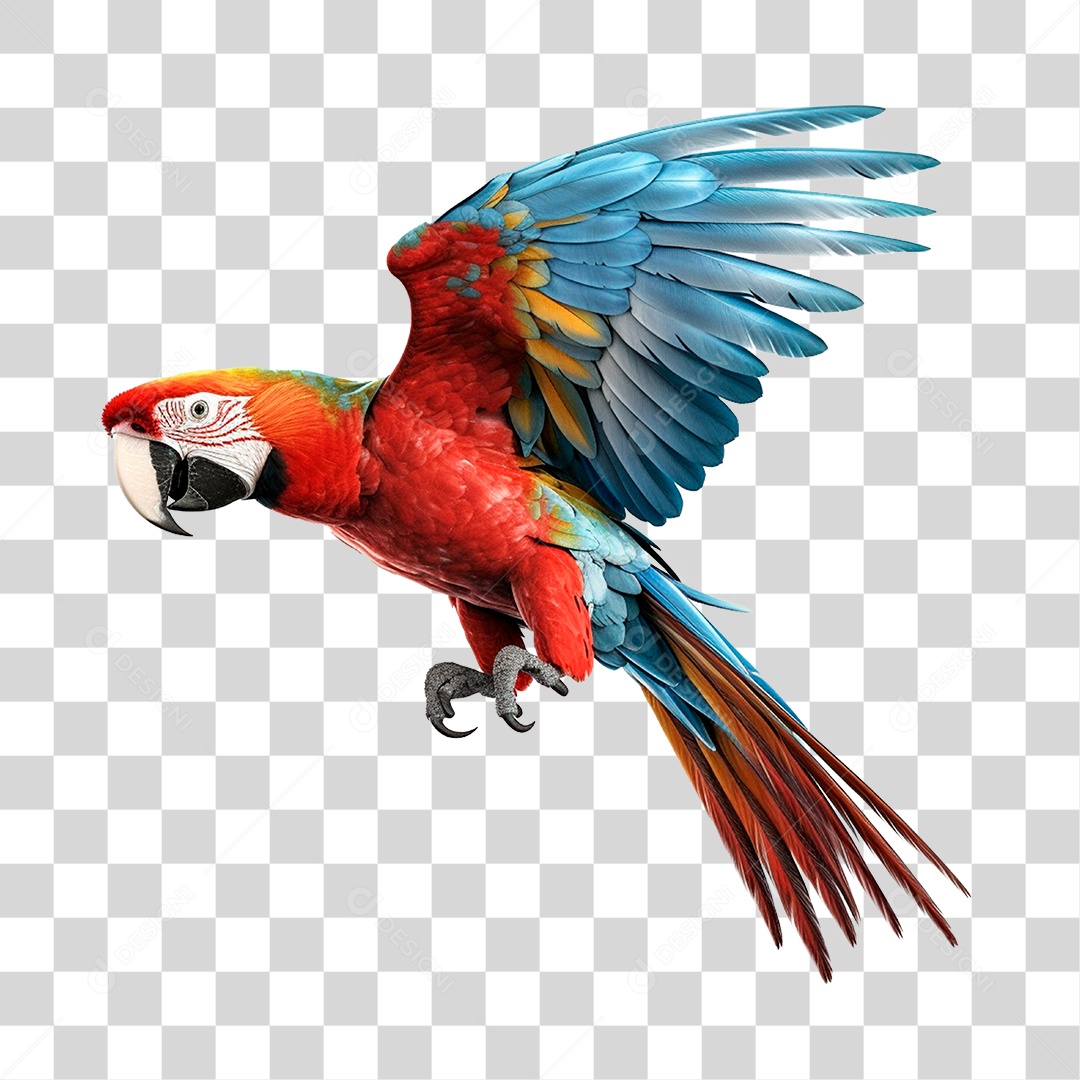 Pássaro Arara Vermelha PNG Transparente