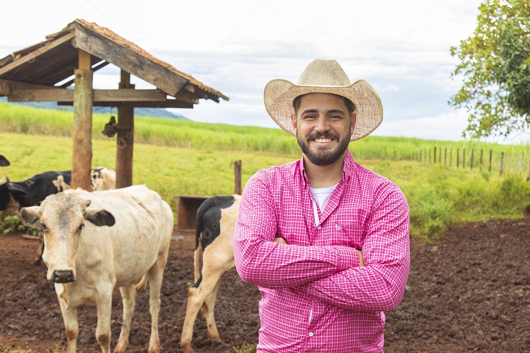 Agricultor alimentando Bovinos sobre cochos fazenda