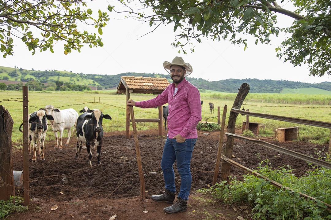 Agricultor alimentando Bovinos sobre cochos fazenda