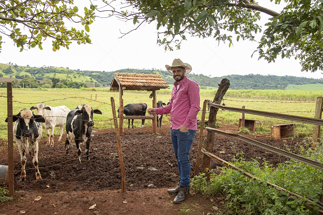 Agricultor alimentando Bovinos sobre cochos fazenda