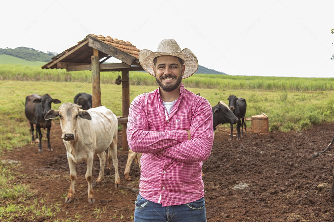 Agricultor alimentando Bovinos sobre cochos fazenda