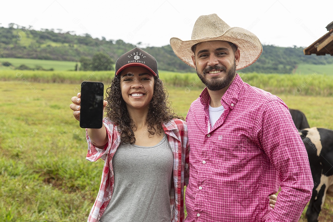 Agricultores alimentando Bovinos sobre cochos fazenda
