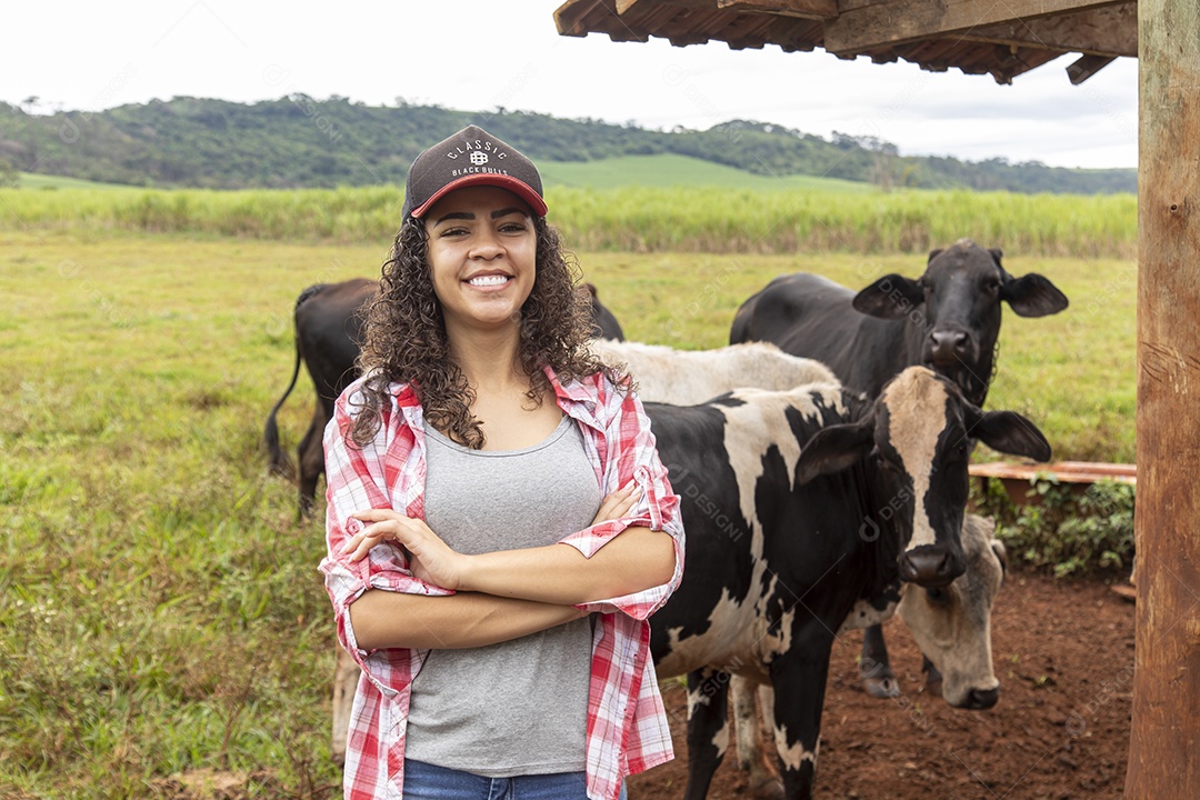 Agricultor alimentando Bovinos sobre cochos fazenda