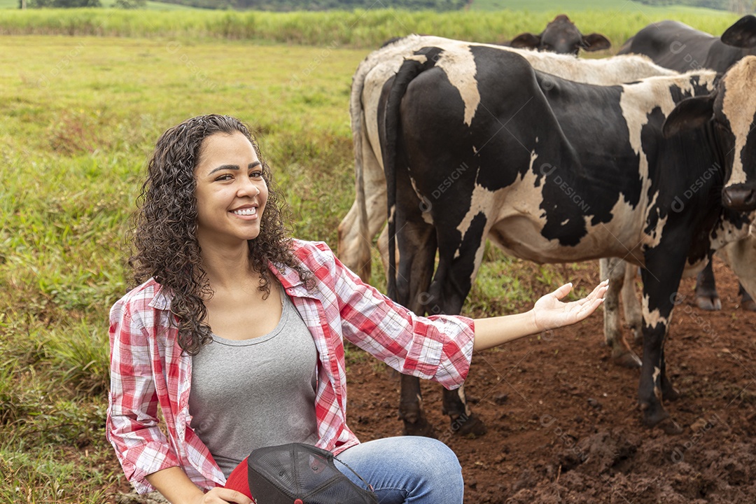 Agricultor alimentando Bovinos sobre cochos fazenda