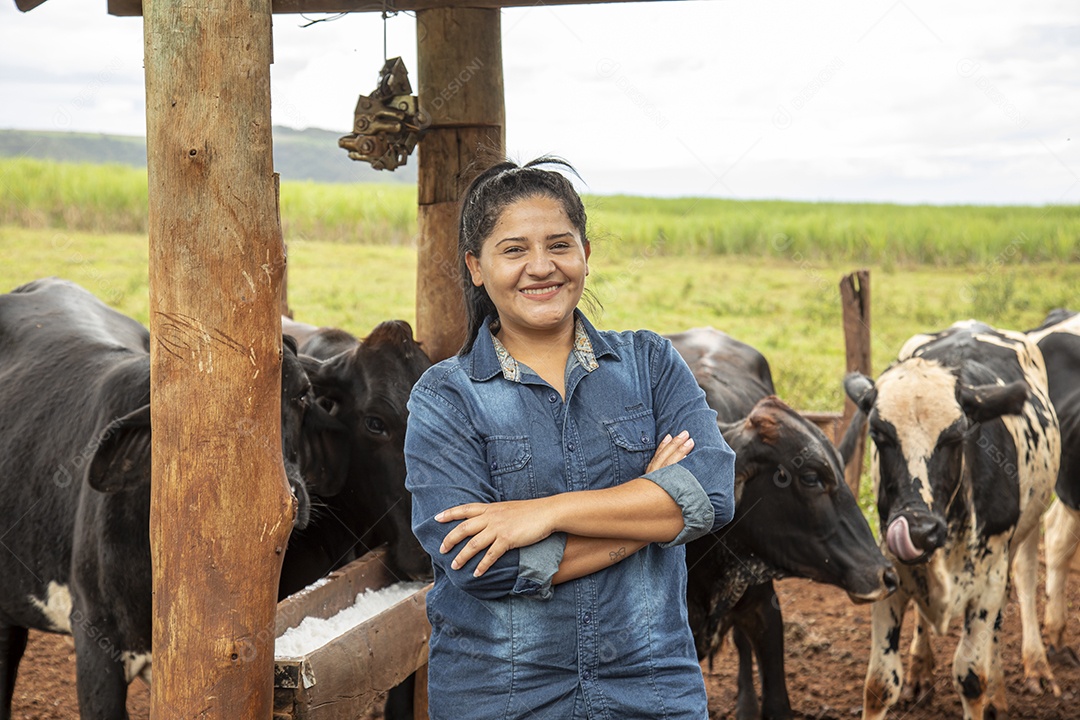 Mulher agricultora alimentando Bovinos sobre cochos fazenda