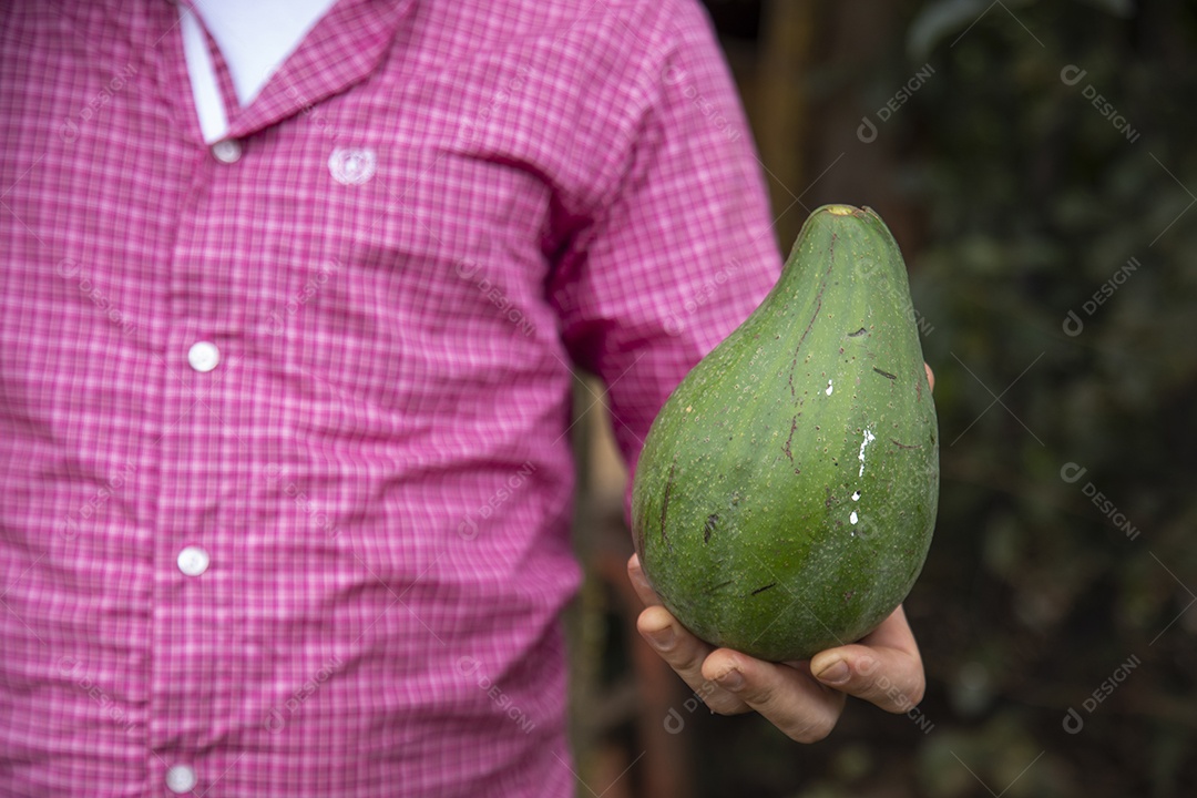 Homem jovem agricultor sobre fazenda segurando fruta pera