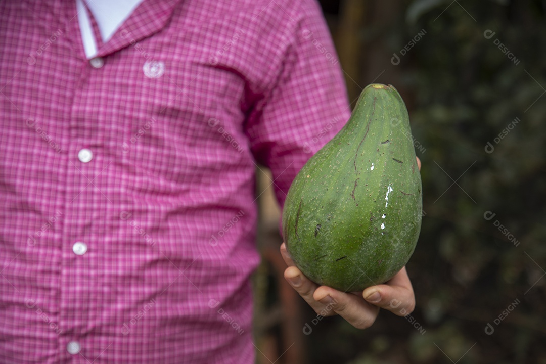 Homem jovem agricultor sobre fazenda segurando fruta pera
