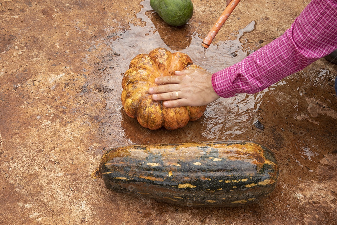 Homem jovem agricultor segurando Abóboras