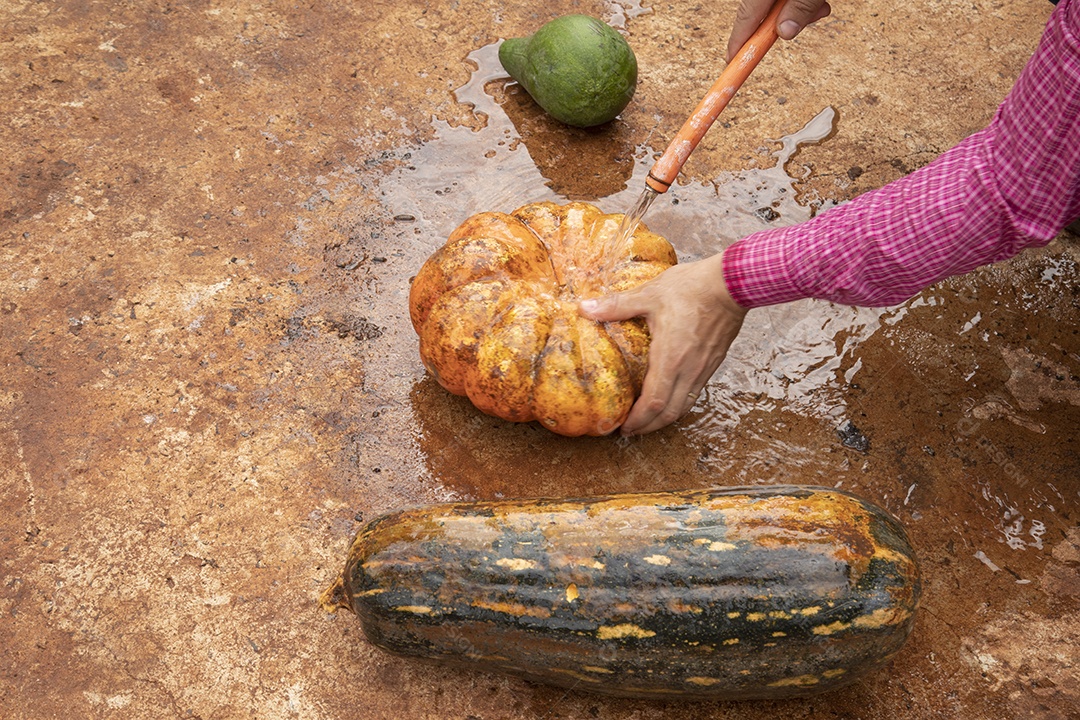 Homem jovem agricultor segurando Abóboras