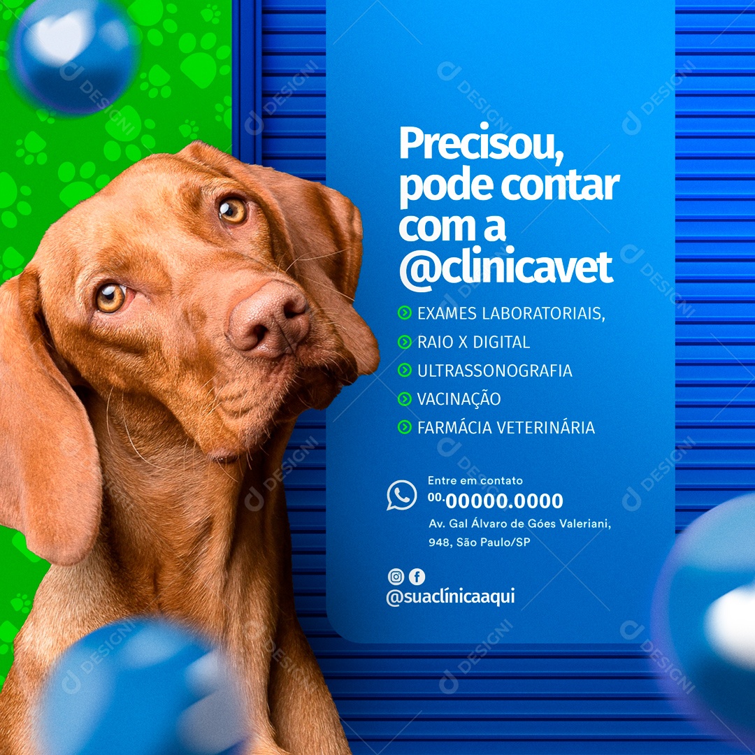 Pet Shop e Clínica Veterinária Social Media PSD Editável