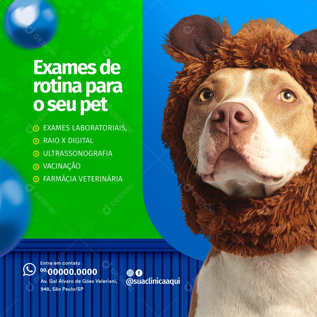 Exames de Rotina Pet Shop e Clínica Veterinária Social Media PSD Editável