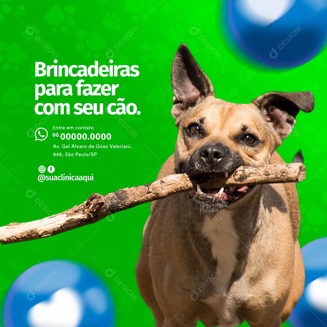Brincadeiras Para Fazer Com Seu Cão. Pet Shop e Clínica Veterinária Social Media PSD Editável