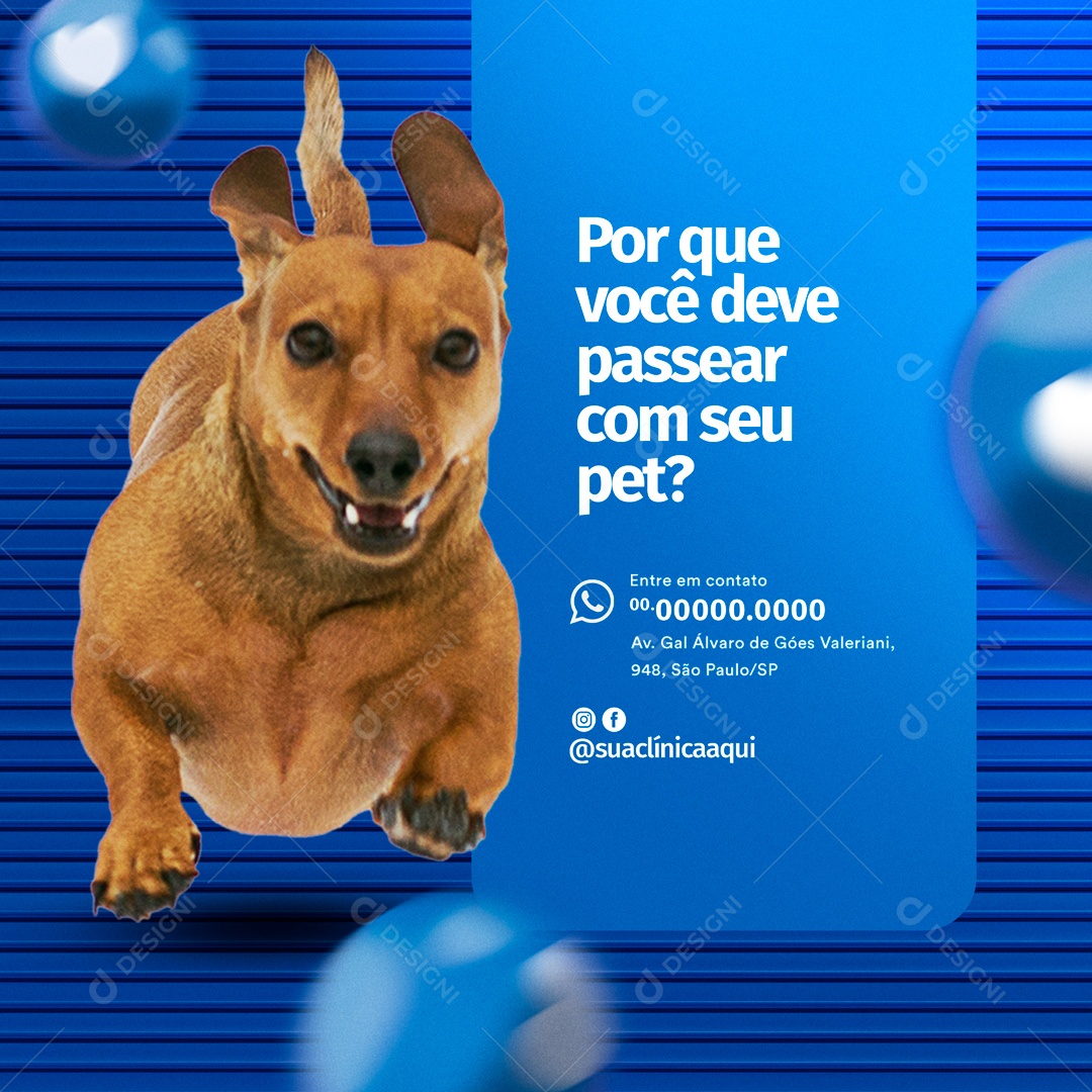 Pet Shop e Clínica Veterinária Social Media PSD Editável