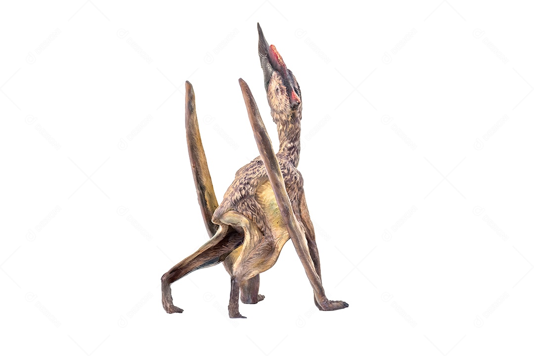 Belo dinossauro sobre fundo isolado