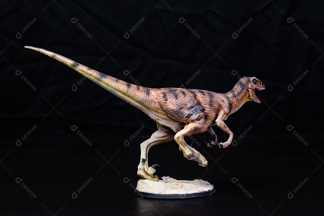 Belo dinossauro sobre fundo isolado