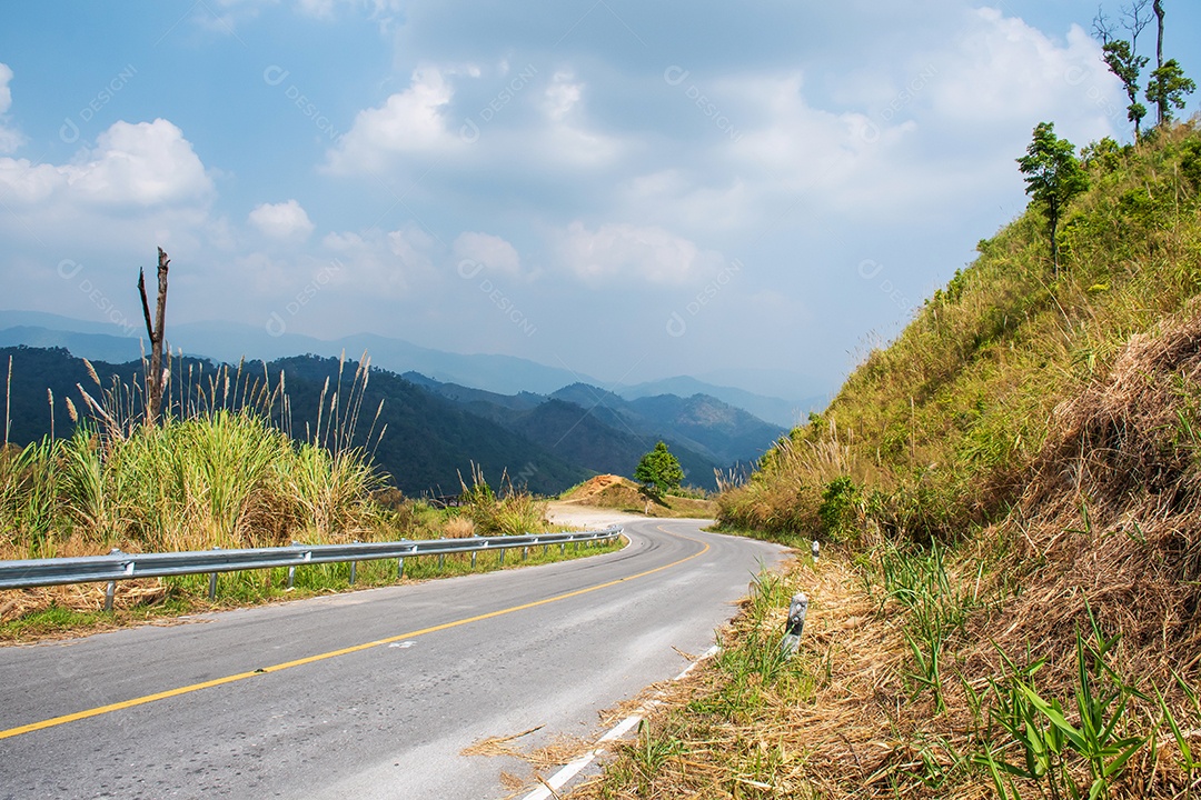 Folhas secas na estrada