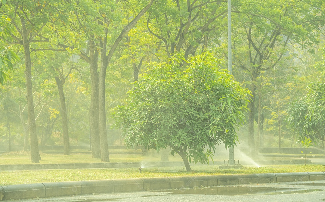 Irrigador automático de gramado regando grama verde e mangueira