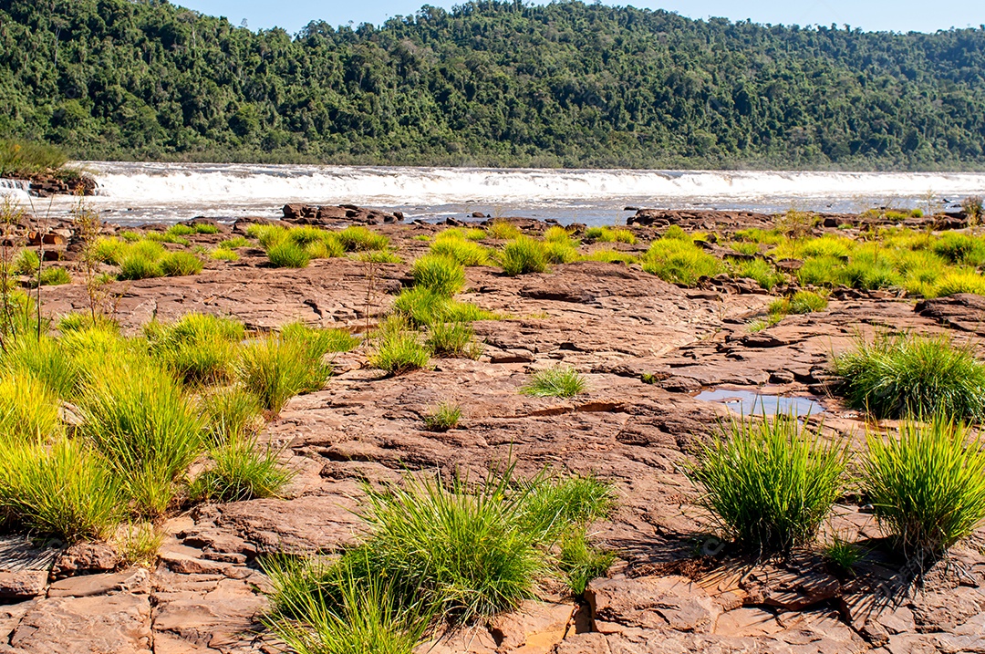 Vegetação nativa do sul do Brasil em Salto do Yucuma
