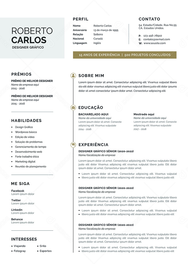 Modelo De Currículo Designer Gráfico Roberto Carlos PSD Editável