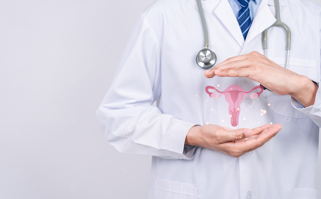 Médico em um jaleco branco segurando o sistema reprodutivo do útero virtual, saúde da mulher