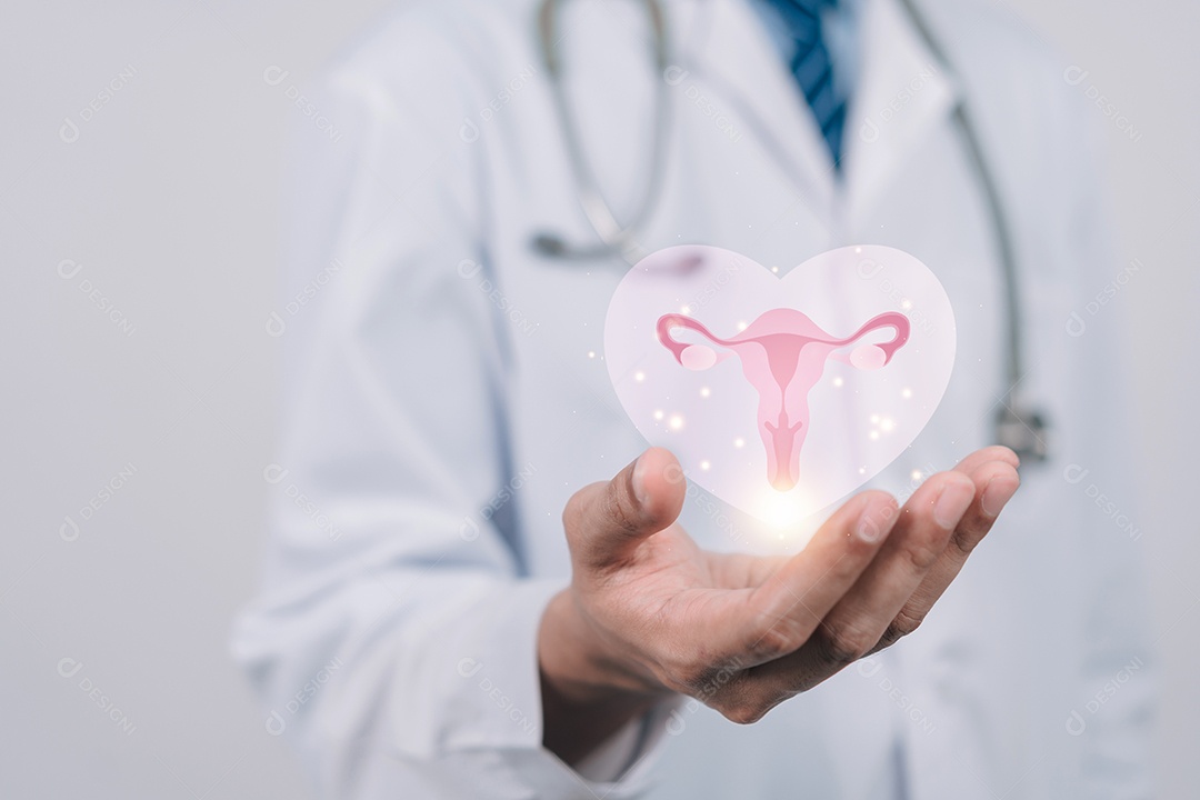 Médico em um jaleco branco segurando o sistema reprodutivo do útero virtual, saúde da mulher