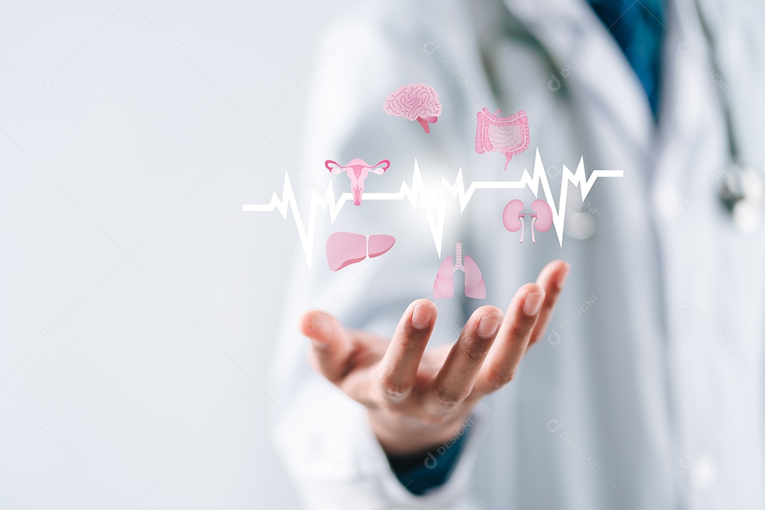 Doutor que mostra o ícone virtual dos órgãos