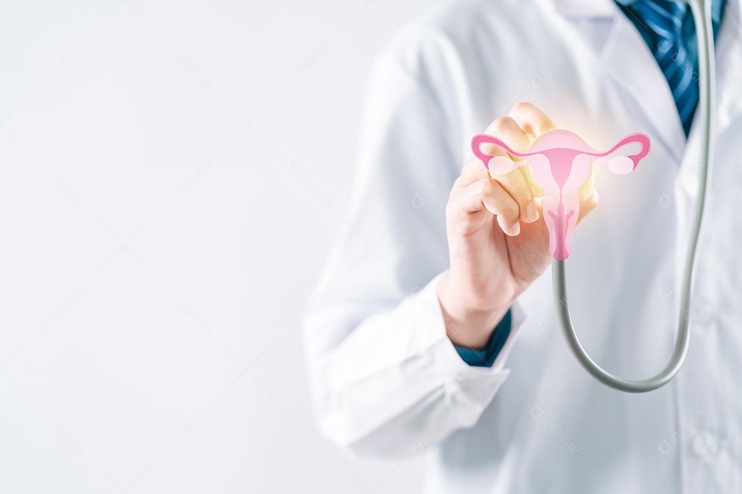 Médico em um jaleco branco segurando o sistema reprodutivo do útero virtual, saúde da mulher