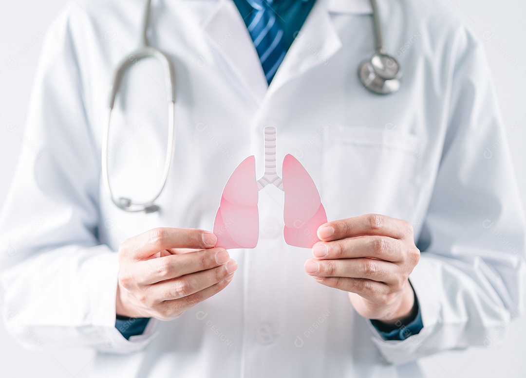 Mãos médicas segurando órgãos pulmonares