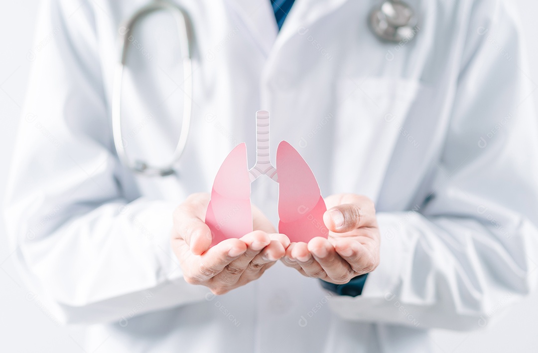 Mãos médicas segurando órgãos pulmonares
