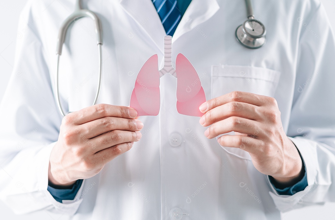 Mãos médicas segurando órgãos pulmonares