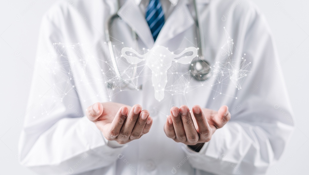 Médico em um jaleco branco segurando o sistema reprodutivo do útero virtual