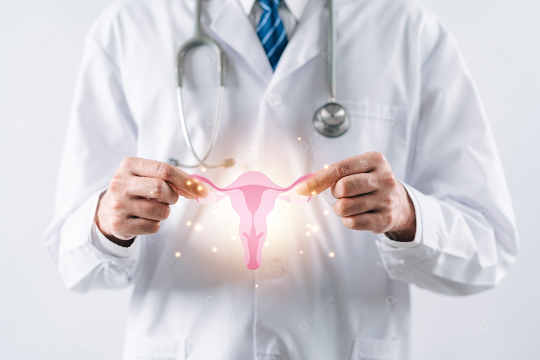 Médico em um jaleco branco segurando o sistema reprodutivo do útero virtual, saúde da mulher