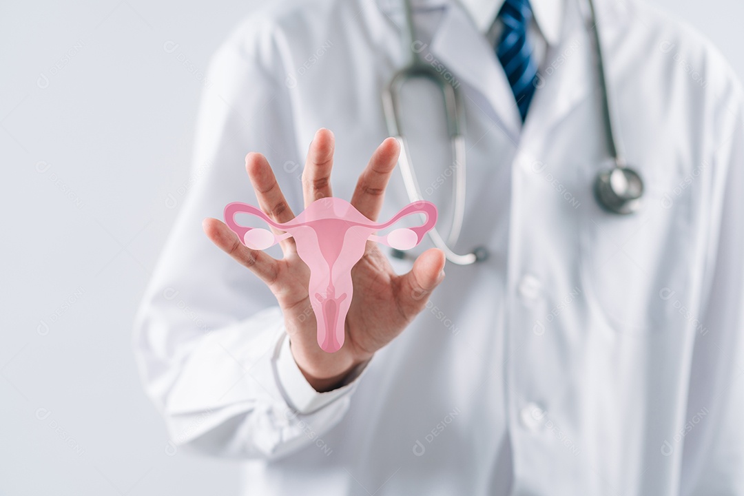 Médico em um jaleco branco segurando o sistema reprodutivo do útero virtual, saúde da mulher
