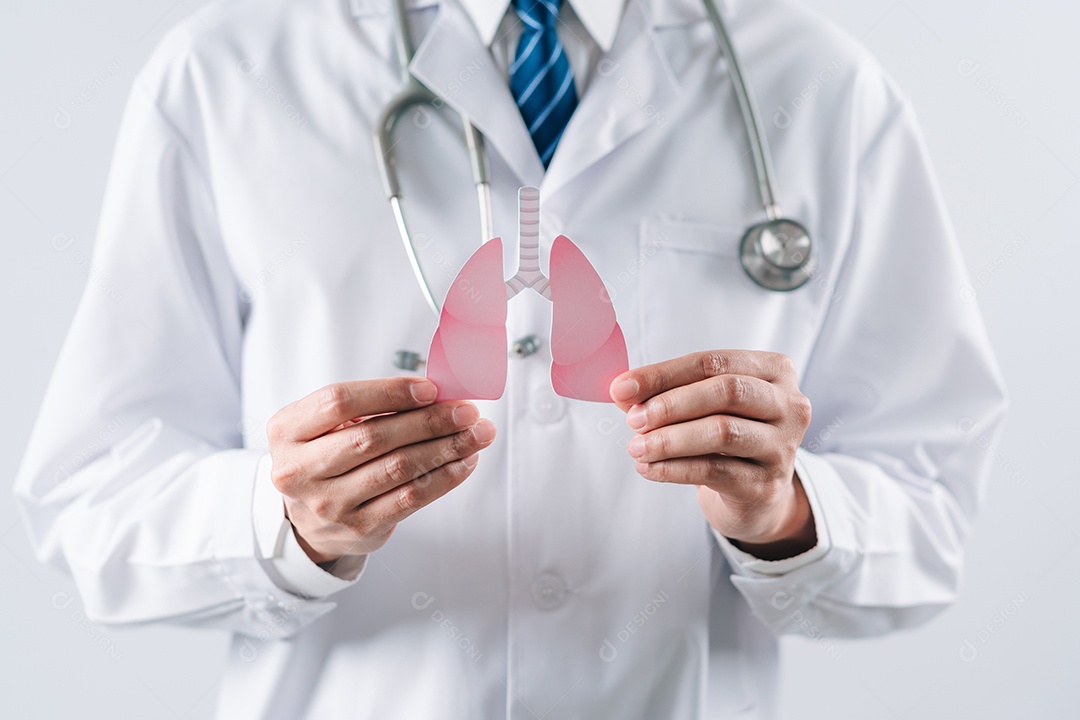 Mãos médicas segurando órgãos pulmonares