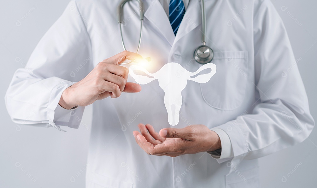 Médico em um jaleco branco segurando o sistema reprodutivo do útero