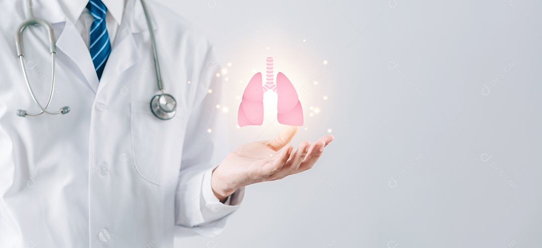 Mãos médicas segurando órgãos pulmonares