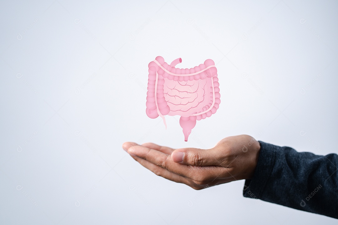 Mãos segurando o ícone virtual do intestino