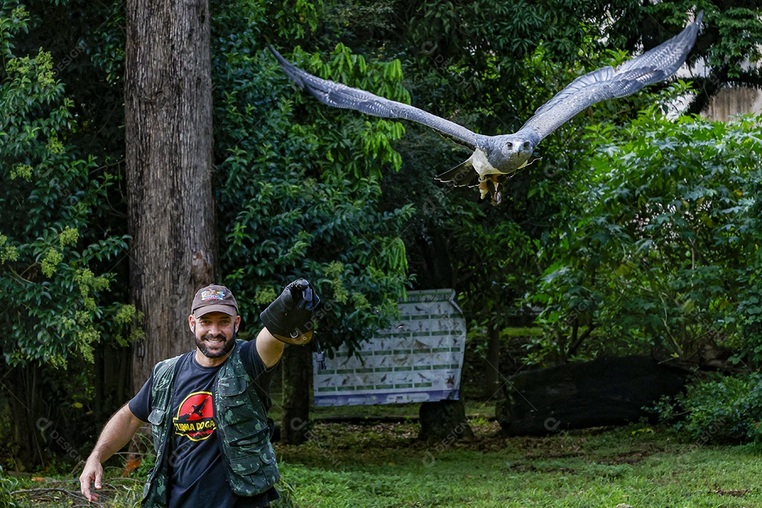 Homem jovem sobre campo verde com seu animal de estimação águia