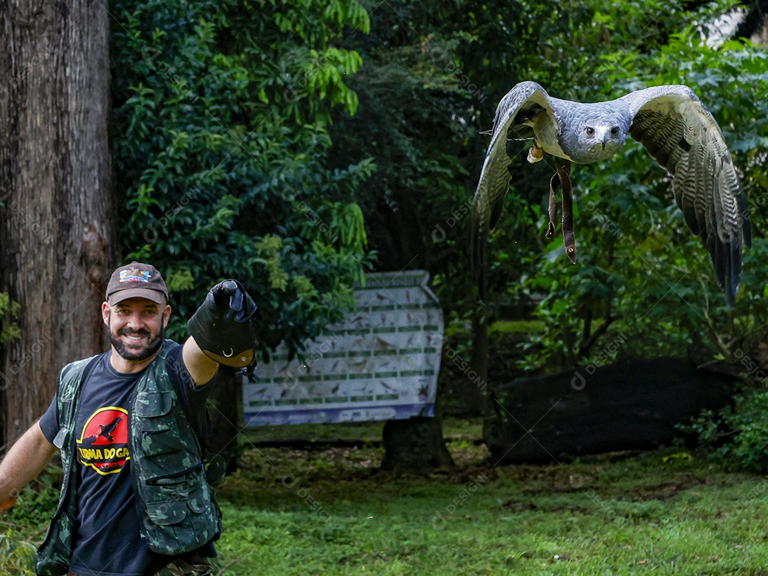 Homem jovem sobre campo verde com seu animal de estimação águia