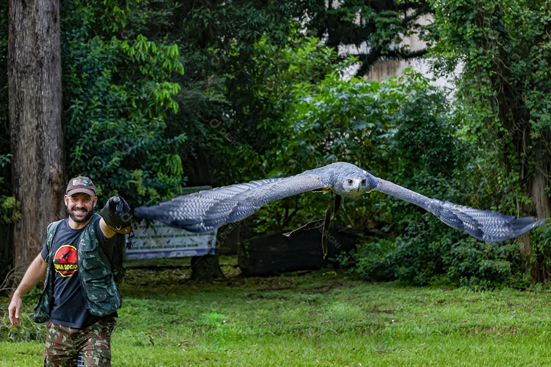 Homem jovem sobre campo verde com seu animal de estimação águia