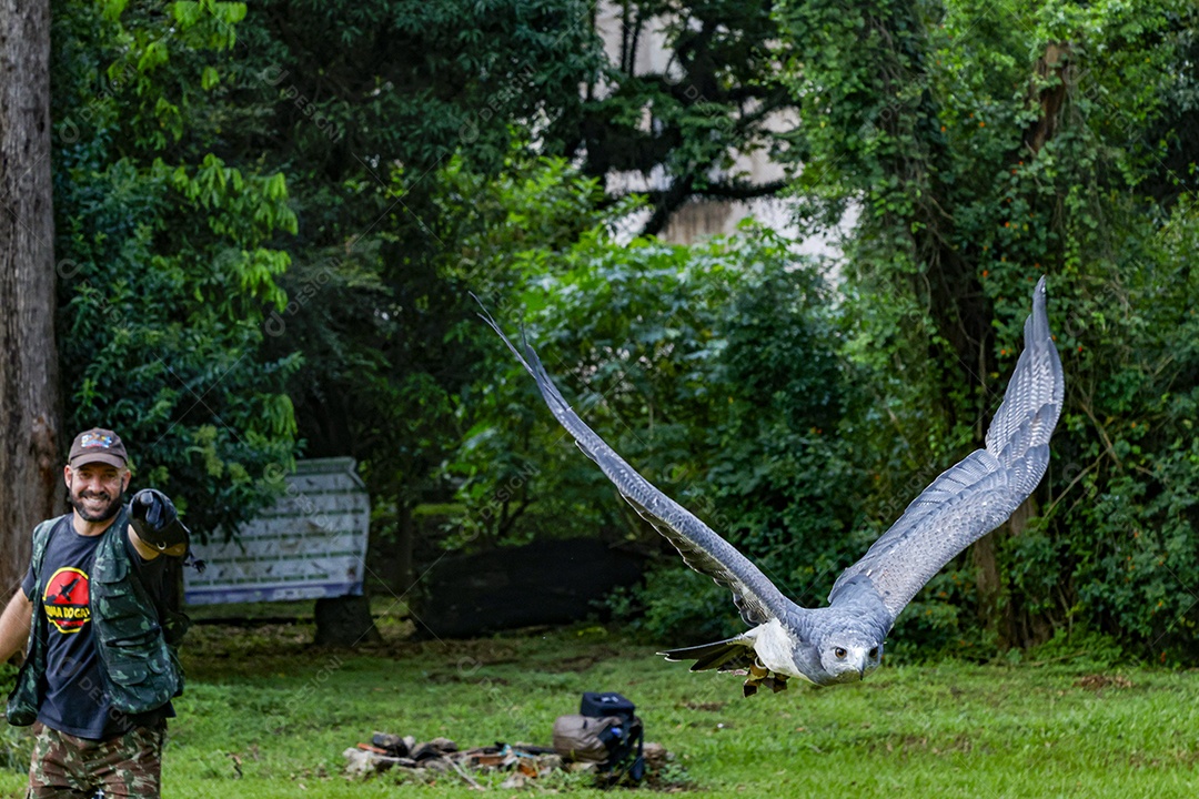 Homem jovem sobre campo verde com seu animal de estimação águia