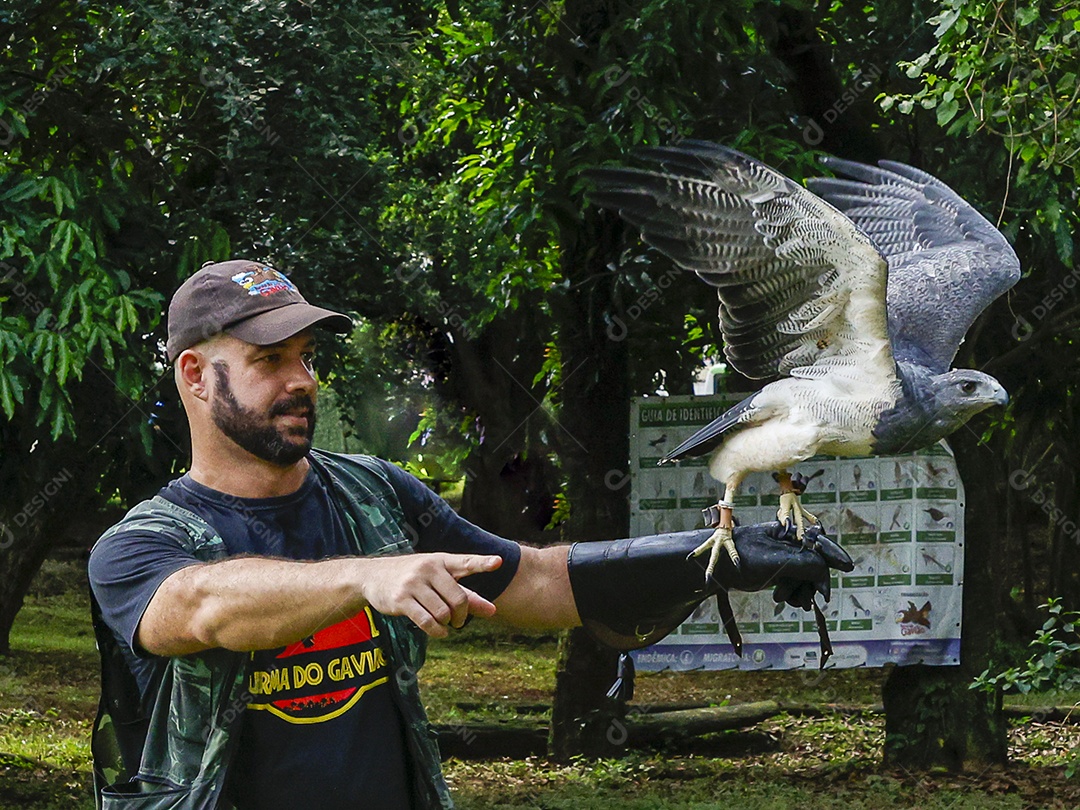 Homem jovem sobre campo verde com seu animal de estimação águia