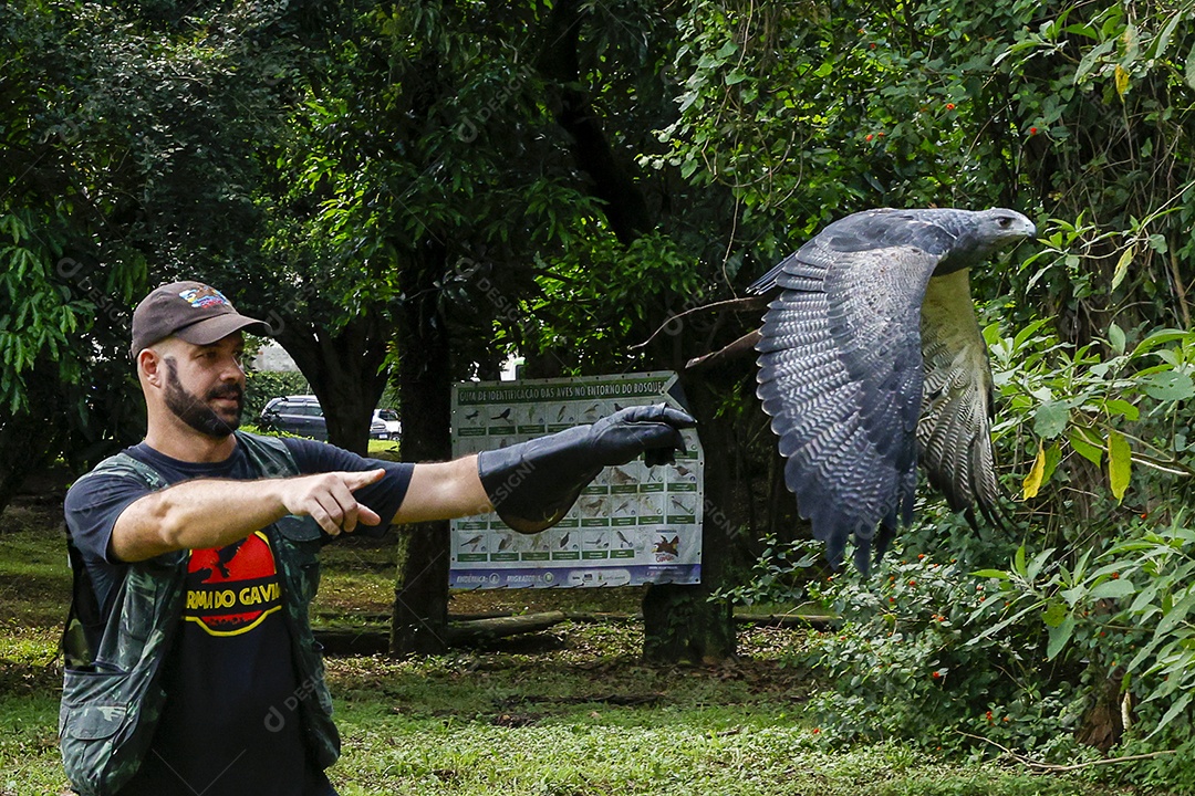 Homem jovem sobre campo verde com seu animal de estimação águia