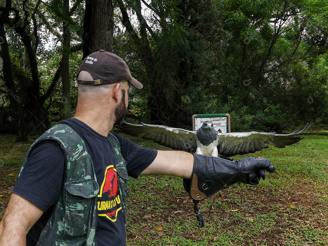 Homem jovem sobre campo verde com seu animal de estimação águia