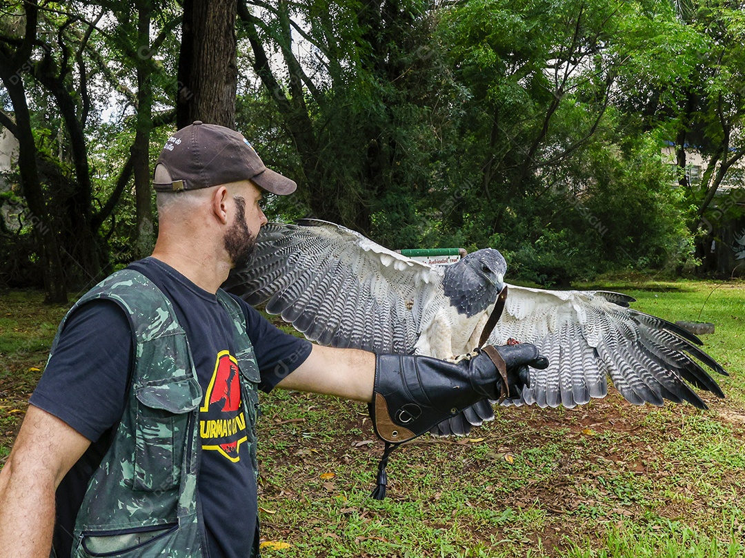 Homem jovem sobre campo verde com seu animal de estimação águia