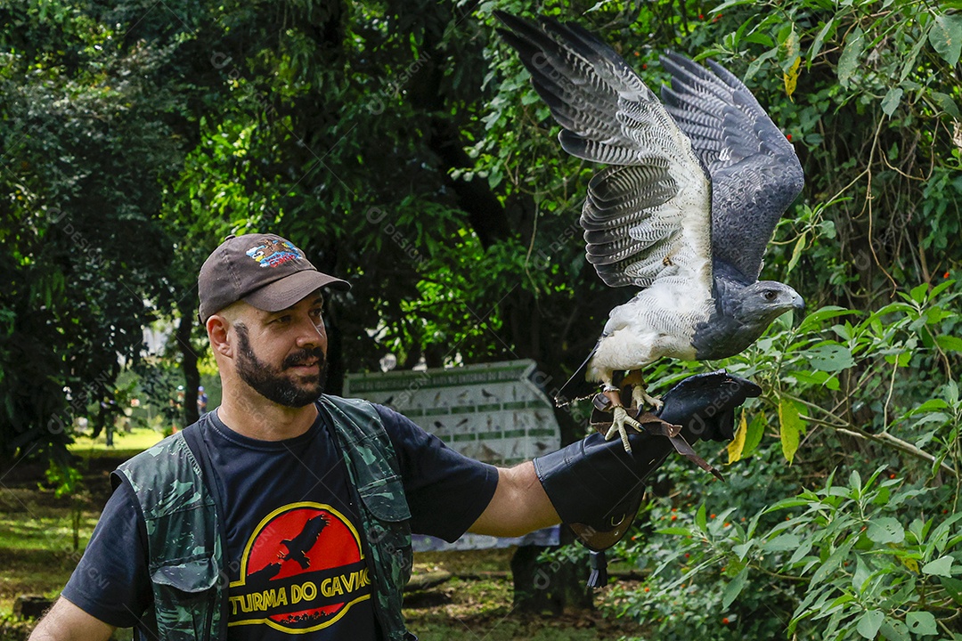 Homem jovem sobre campo verde com seu animal de estimação águia